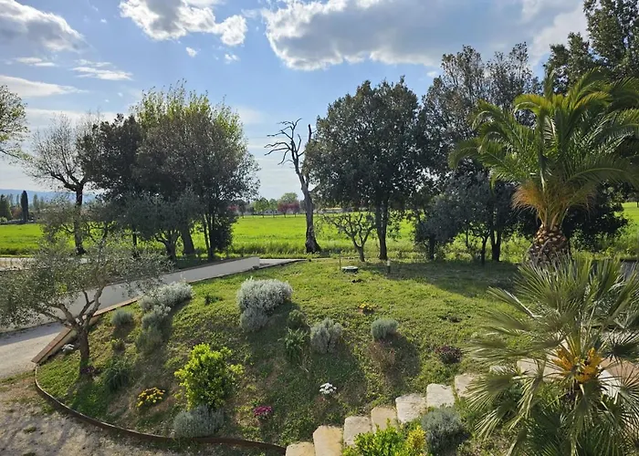 Il Magico Nido