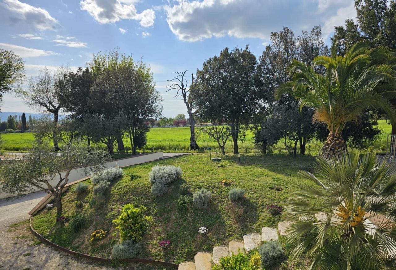 Il Magico Nido Apartment *